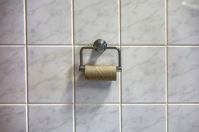toilet paper