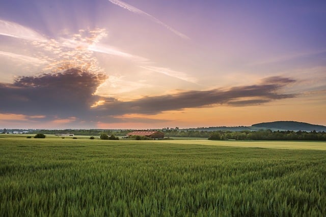 agriculture