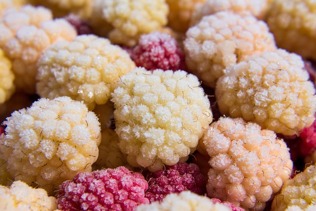 frozen food